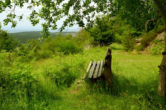 是球迷心中 是球迷心中
