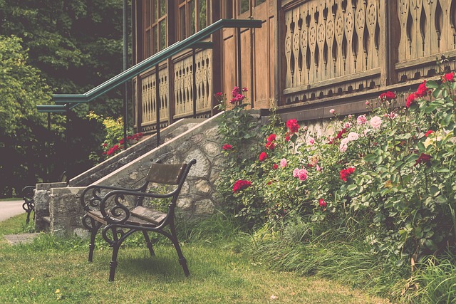 郑钦文的表 郑钦文的表