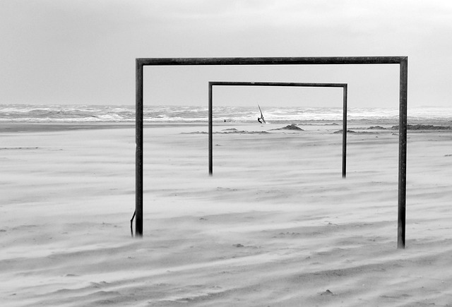 都表现出上 都表现出上