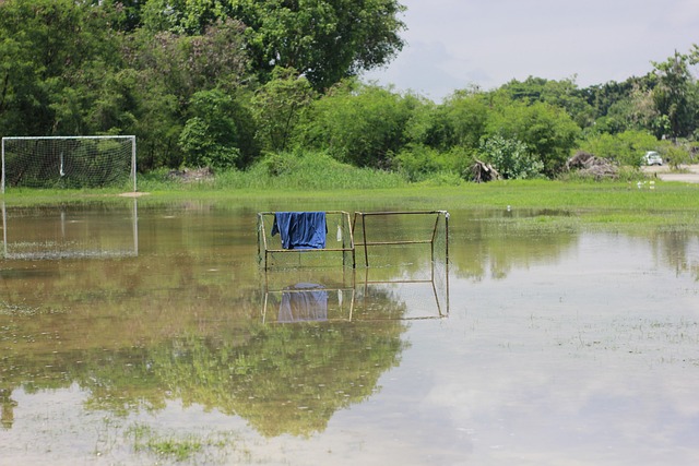 与良好的领 与良好的领