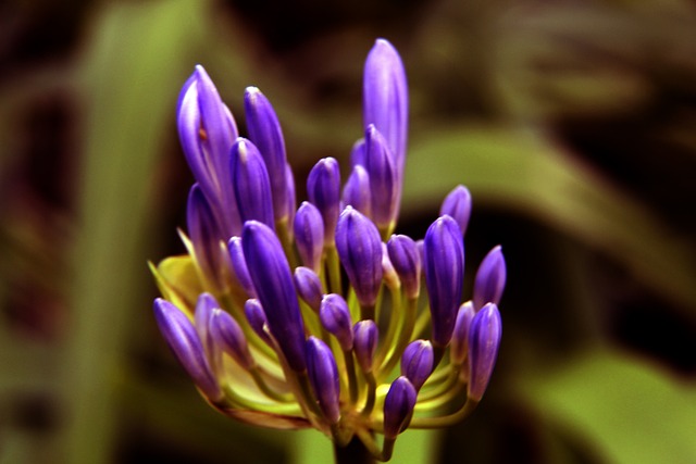 人能力的考 人能力的考