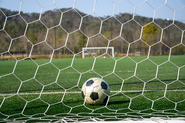 上的競爭力 上的競爭力